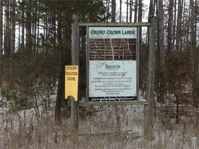 Orono crown lands