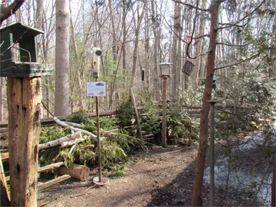 Bird feeders at the Outdoor Education Centre