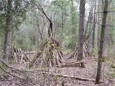 Shelter building