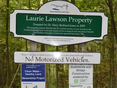 Welcome to Laurie Lawson!