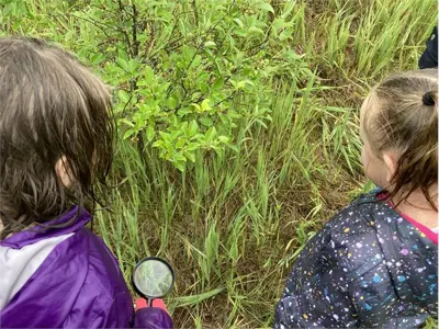 Students exploring the forest