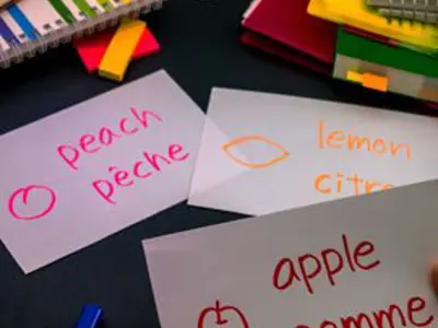 French vocabulary tools; cue cards with english and french words