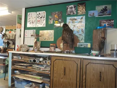 Wilmot Creek classroom