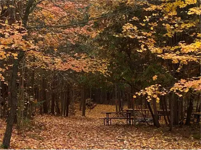 A picnic area at the Warsaw Education Centre