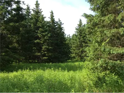 Wilmot Creek outdoor education centre